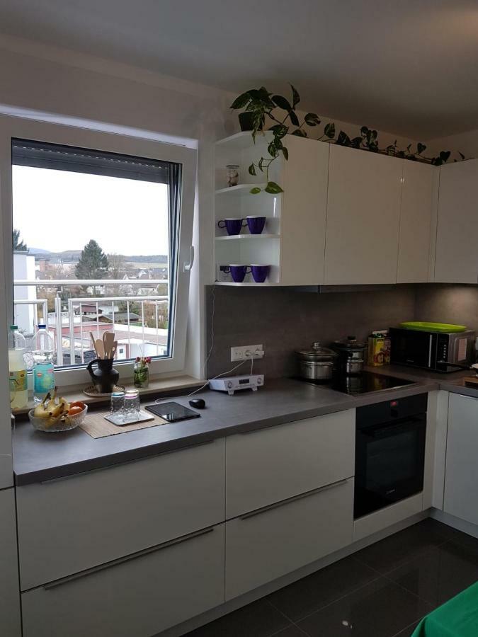 Apartment Near Frankfurt, Fantastic View! Usingen Exteriör bild